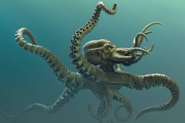 Kraken ссылка tor зеркало