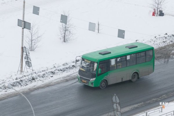 Как через тор браузер зайти в даркнет