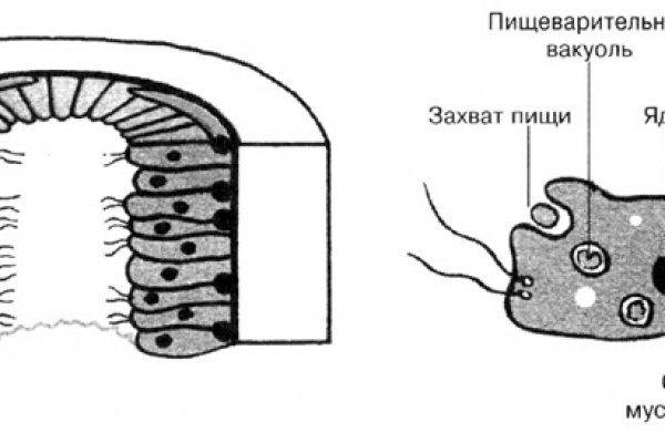 Магазин по продаже наркотиков